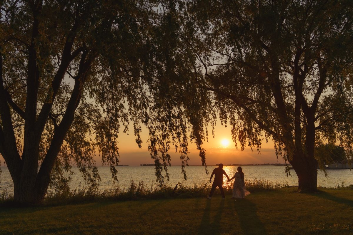 Wide view of an engaged couple small beneath big willows at sunset by the water