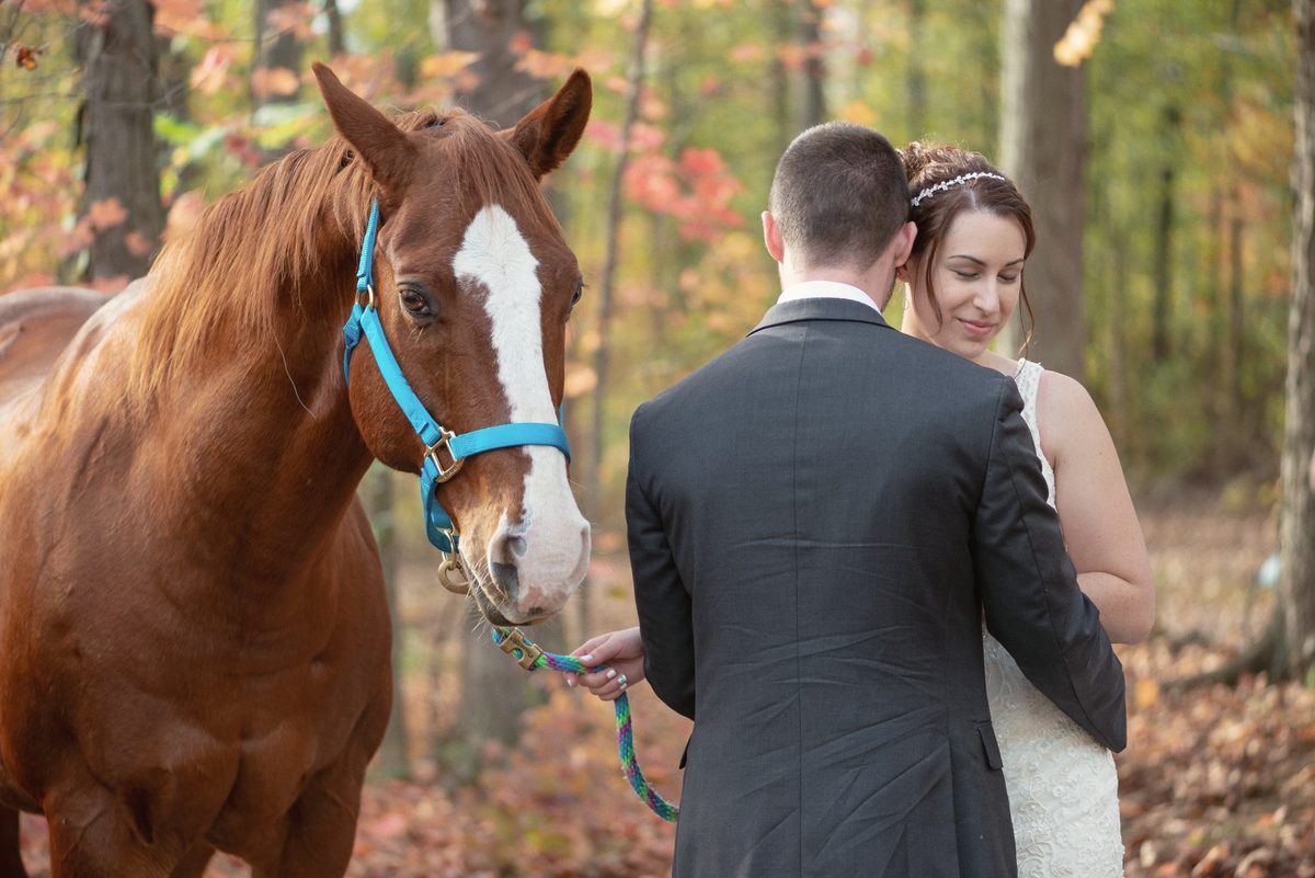 Bride and groom standing beside a chestnut horse in a teal halter among fall leaves