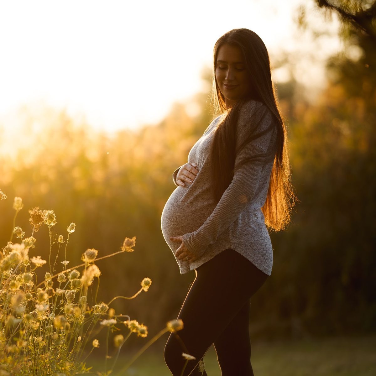 Silhouette of an expecting mom in tall grass, backlit by golden evening sun